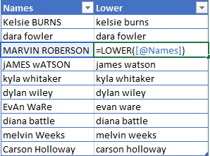 LOWER-Excel-Function-Example 5 Ways To Change Text Case In Excel