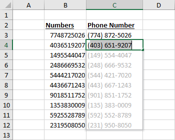 Format-Phone-Numbers-with-Flash-Fill Everything You Need To Know About Flash Fill In Microsoft Excel [15 Examples]