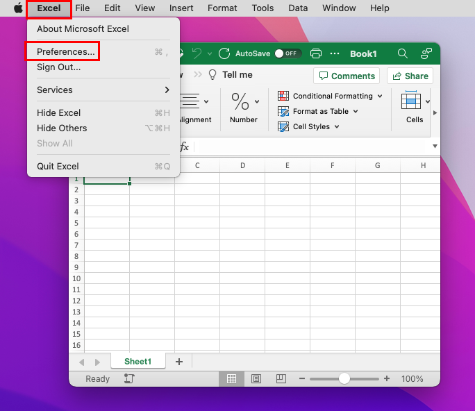 Mac 上的 Excel 偏好设置