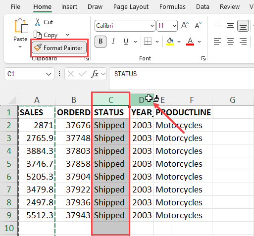 Double-clicked Format Painter